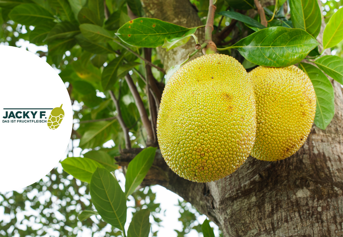 Jackfruit - eine Frucht für die Zukunft | Unser Projekt in Sri Lanka