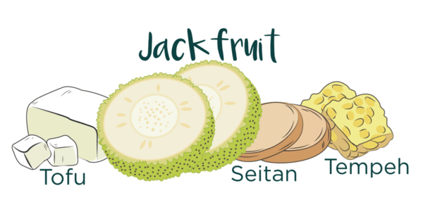 Jackfruit als innovativer Fleischersatz